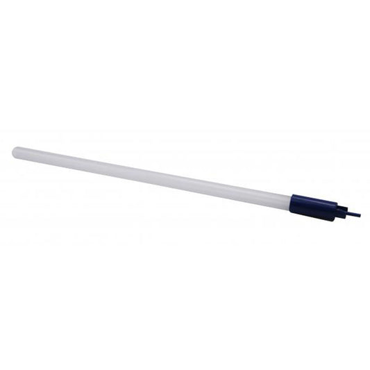 Blue Bottler-1.jpg