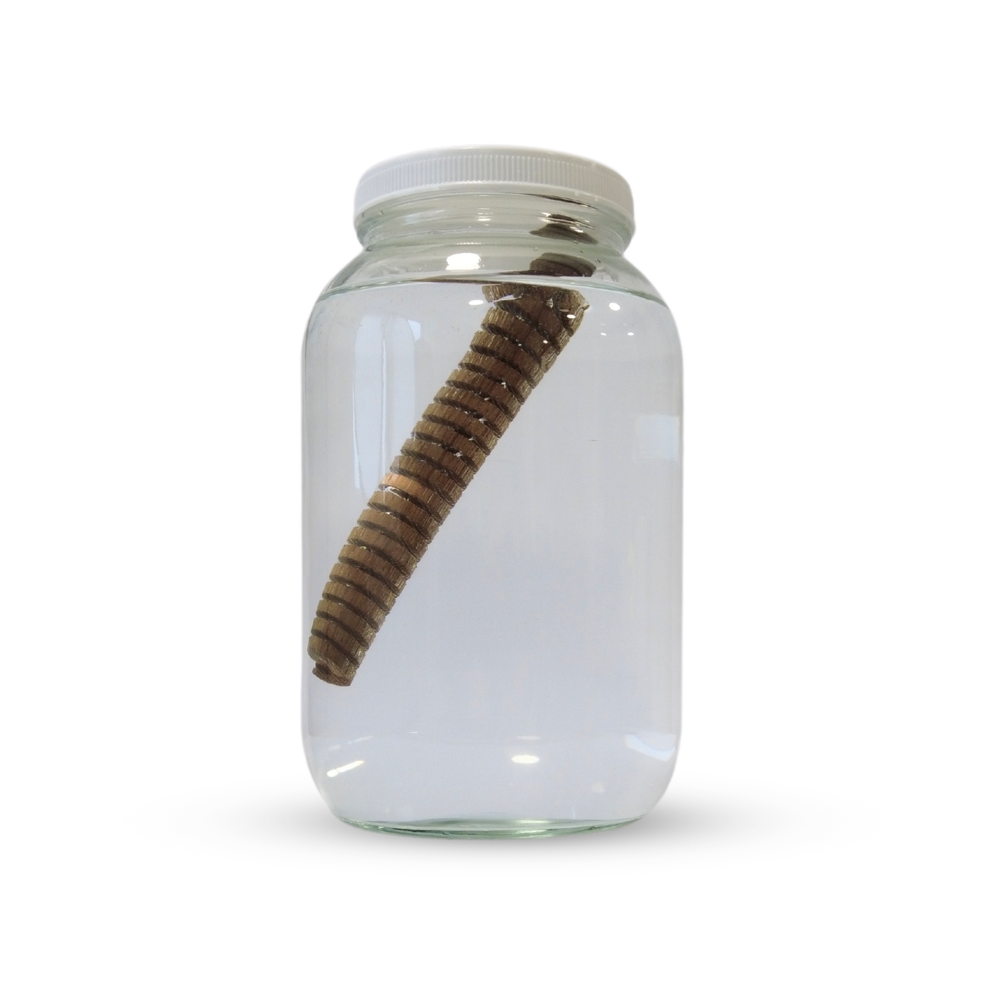 HS 1 Gal Glass Jar 2.png