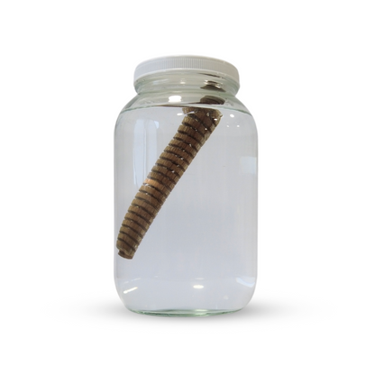 HS 1 Gal Glass Jar 2.png